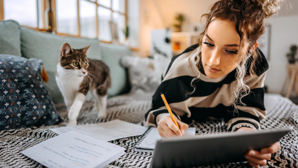 student working on bed, with cat