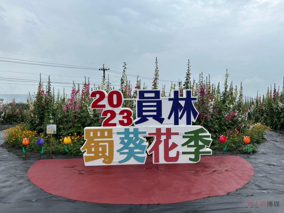 ▲023員林蜀葵花季美麗登場，今年重回南區公園，面積約8分地，約2萬5株蜀葵花，邀請全國鄉親來員林賞蜀葵花海，同時品嘗在地美食。（圖／記者陳雅芳攝，2023.04.01）