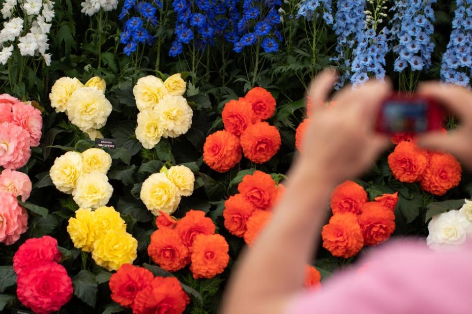 The flower show is normally held in the spring and features extravagant displays of blooms (Aaron Chown/PA) (PA Archive)