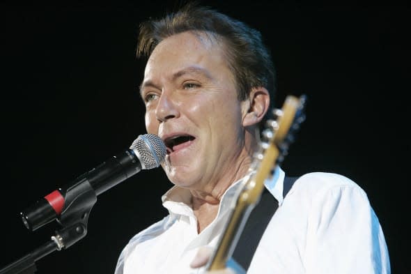 David Cassidy Concert - London