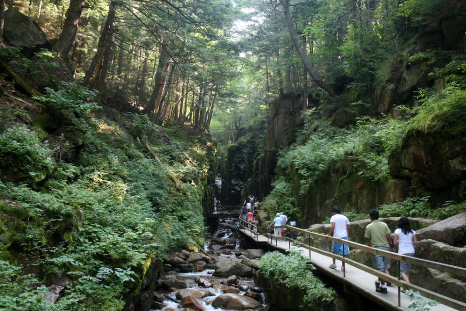 New Hampshire: Franconia Notch State Park, Lincoln