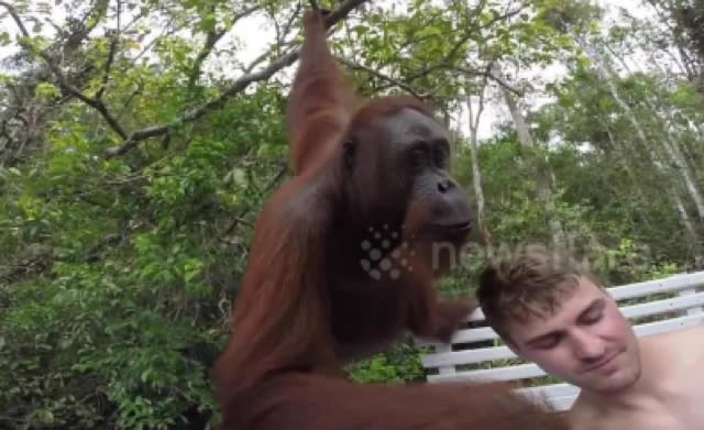 Orangutan climbs onto tourist boat and slaps selfie-taker