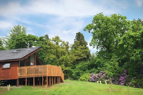 A Forest Holidays cabin