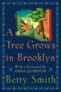 <p>Believe it or not, Williamsburg was not always the province of hipsters. In the early 1900s, it was home to tenements that housed immigrant families <a rel="nofollow noopener" href="http://www.amazon.com/Tree-Grows-Brooklyn-Betty-Smith/dp/B008KU2FLE/ref=sr_1_3?tag=syndication-20&s=books&ie=UTF8&qid=1442428504&sr=1-3&keywords=a+tree+grows+in+brooklyn" target="_blank" data-ylk="slk:like Irish American Francie's;elm:context_link;itc:0;sec:content-canvas" class="link ">like Irish American Francie's</a>. Who doesn't remember the first time you realized your parents are real people, with their own dreams, failures, and disappointments? For Francie, the consequence of that moment was finding the drive to create her own future.</p>