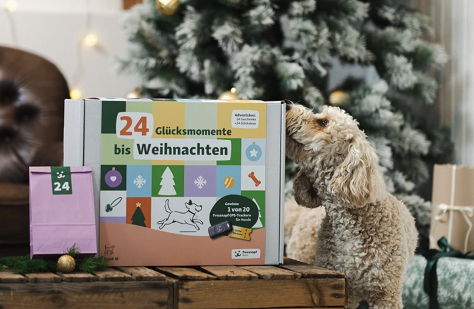 Macht auch unsere Vierbeiner glücklich: ein Adventskalender, dessen Inhalt absolut zeitlos ist. (Bild: Fressnapf)