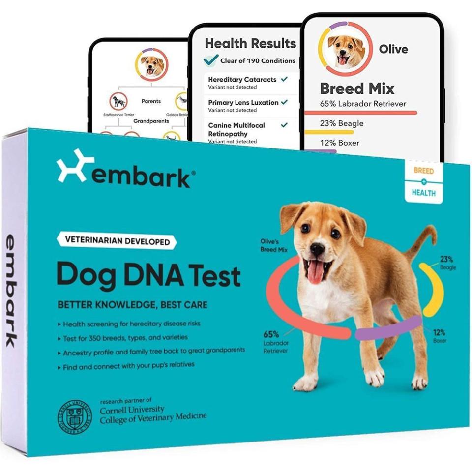 9) Dog DNA Test