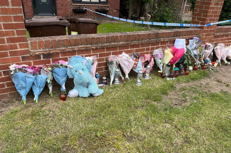 Tributes left for the 16-year-old boy killed by a falling tree