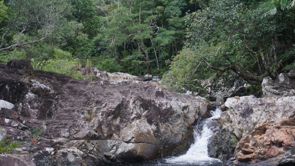 The stream in Binh Dinh province where Cyrtodactylus arndti, or Arndt’s bent-toed gecko, was found.