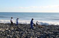 Volunteers of the 3E association, who found plane debris and a piece of luggage on July 29, search for more potential plane parts in Saint-Andre, La Reunion, on July 31, 2015