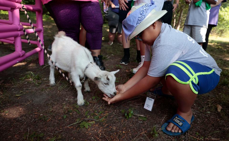 Elijah Brisco, 9, feeds a goat from Duke Petting Farm who brought a variety of animals for kids attending the second annual Camp Monarch run by Angela Hospice Center to play with at the Madonna University Welcome Center in Livonia on August 4, 2023. The two-day camp is for children ages 5 to 17 who have experienced the loss of a loved one to allow them to bond with other kids their age, talk about grief and get consoling from adults.