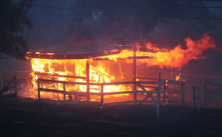 A stucture burns in the Lilac Fire, a fast moving wildfire in Bonsall, California, U.S., December 7, 2017. REUTERS/Mike Blake