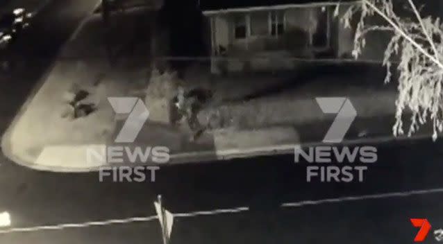 CCTV shows the men being tackled to the ground by Jamile and Phil. Photo: 7 News