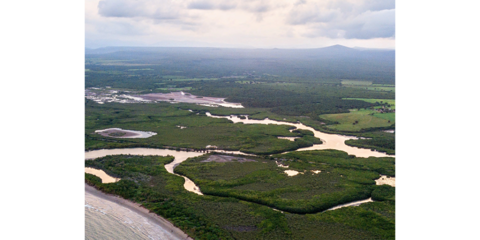 Red de esteros y humedales en la desembocadura del Río Piaxtla, municipio de San Ignacio, norte de Mazatlán. (Foto: Rafael Narval)