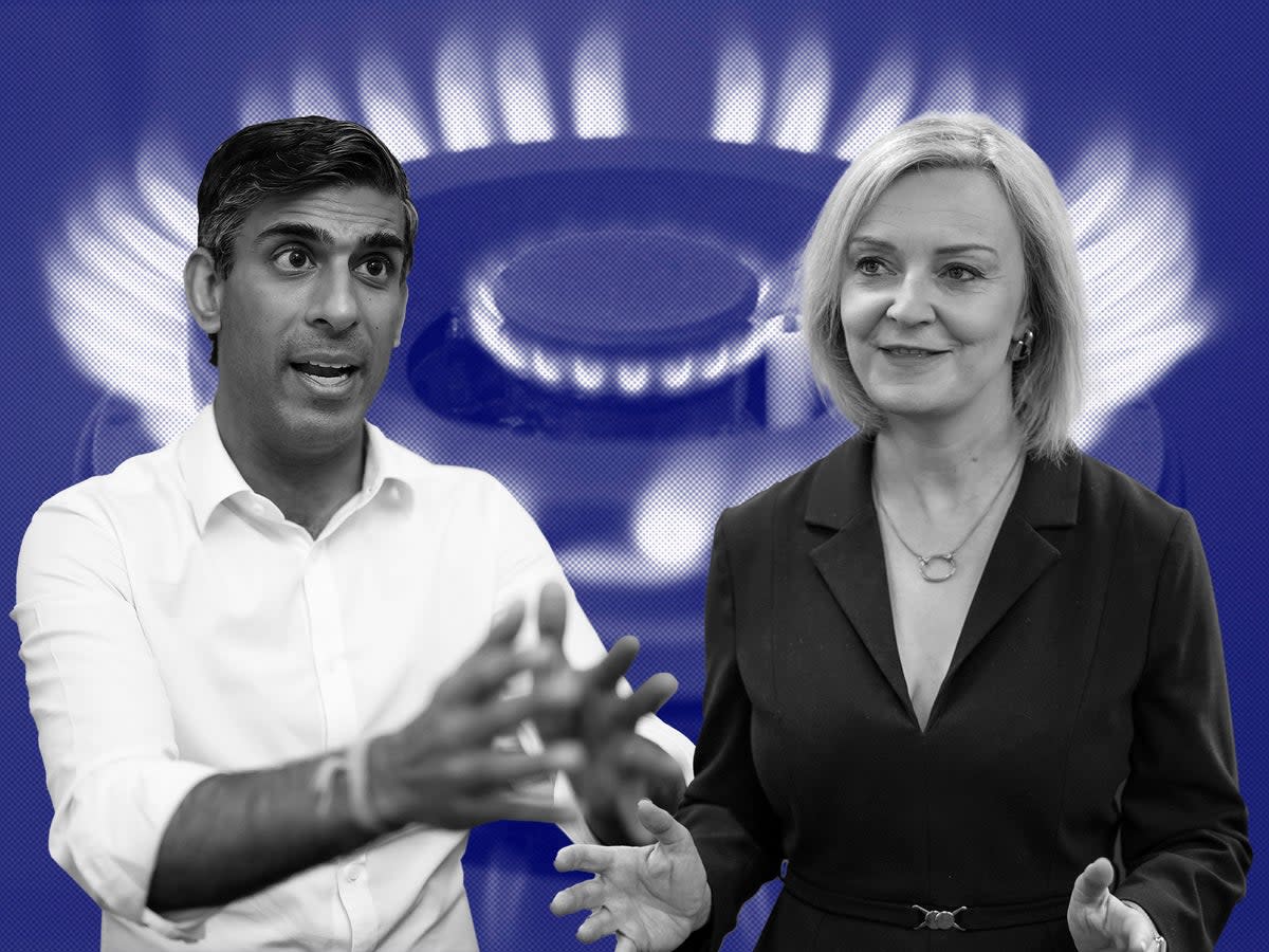 There is no guarantee that Tory leadership candidates Rishi Sunak or Liz Truss would introduce the scheme (AFP/Getty)