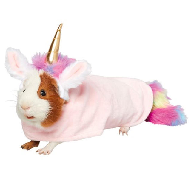 PetSmart - We love guinea pig costumes and we know you do, too! We
