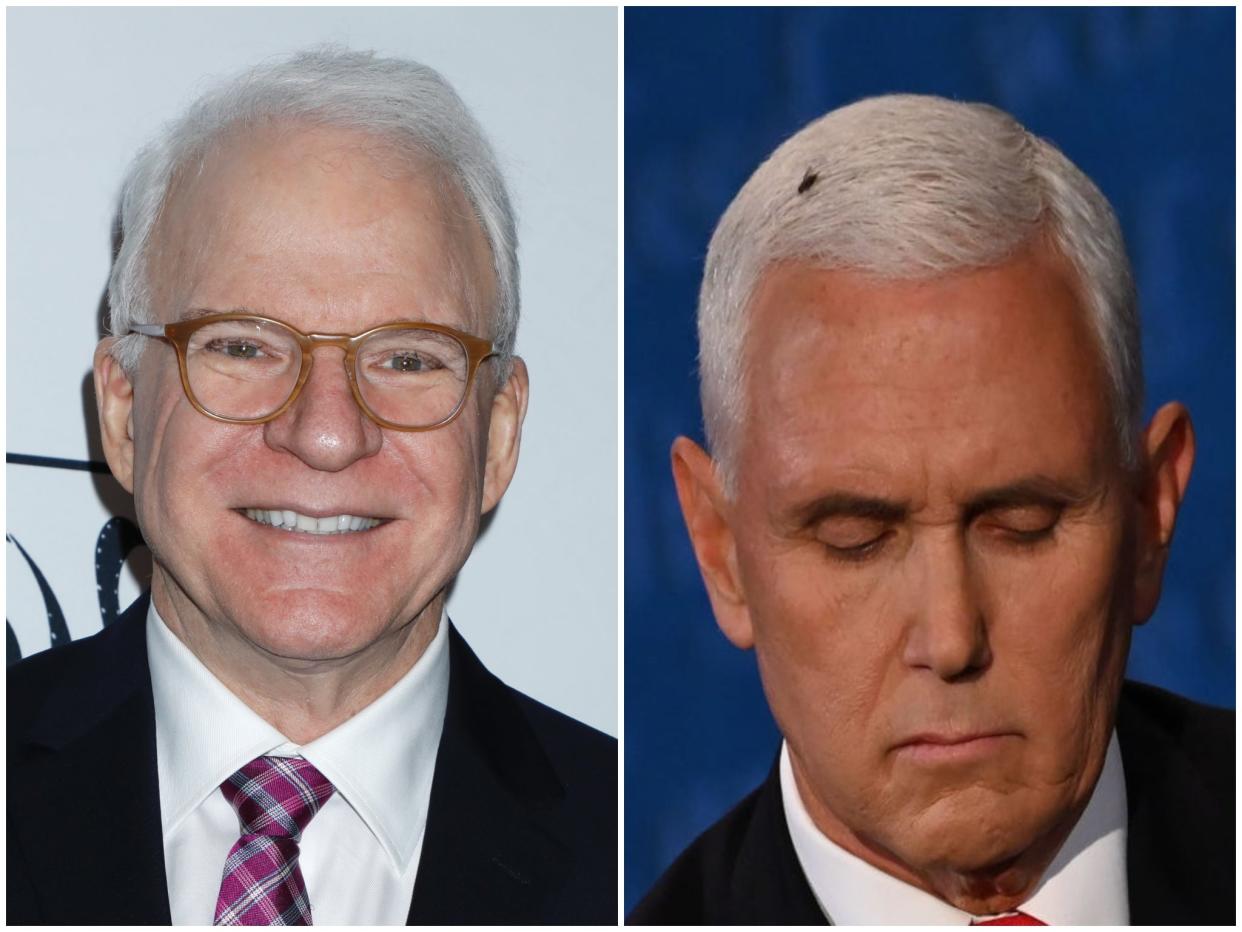 Steve Martin and Mike Pence (Rex/Getty)