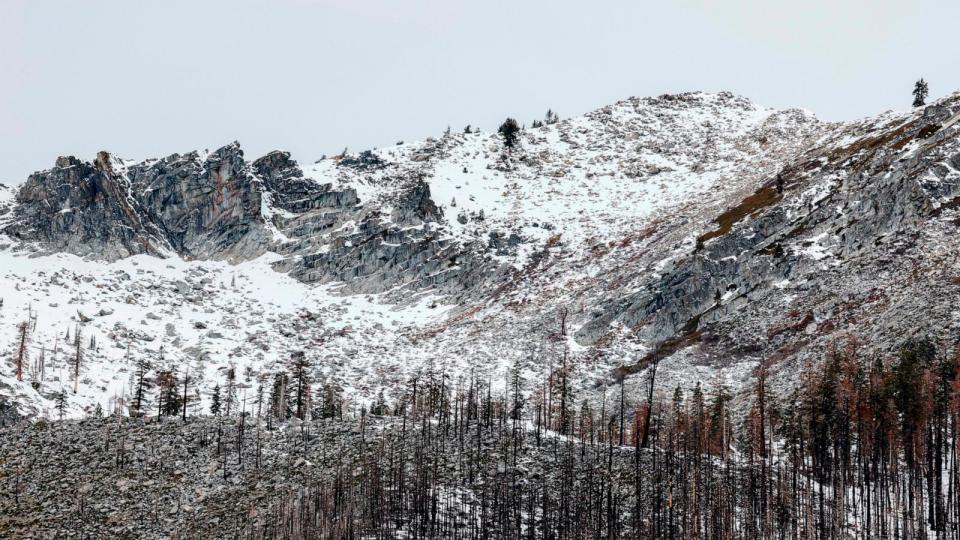 PHOTO: The first snow survey of the year took place in Phillips Station, Calif., Jan. 2, 2024. (Fred Greaves/California Department of Water Resources via AP)