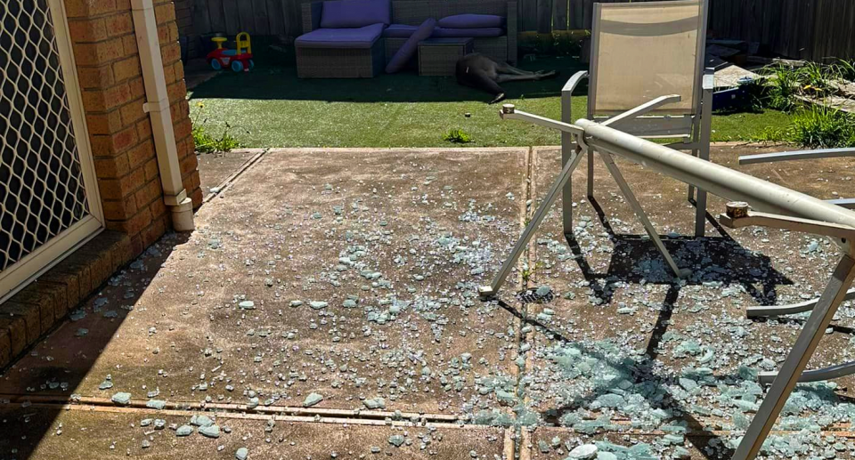 The roo smashed a glass table and damaged a window. Source: Facebook. 