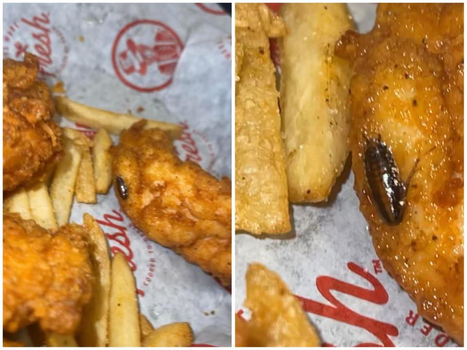 Images showing the cooked cockroach into a chicken tender.