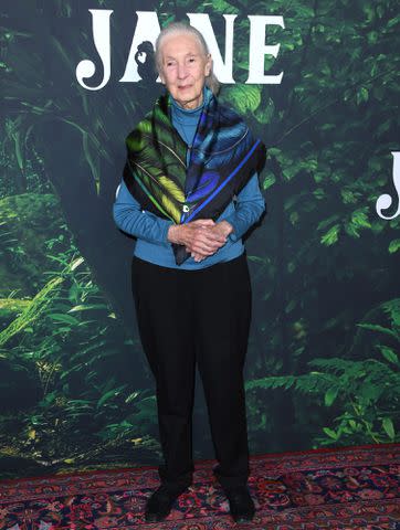 Steve Granitz/FilmMagic Jane Goodall, April 2023