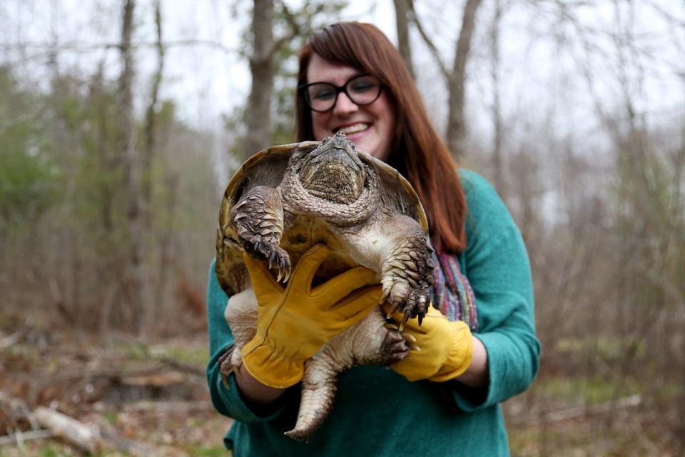 Center for Wildlife Executive Director Kristen Lamb releases the injured snapping turtle back into the wild on Tuesday, April 26, 2022.