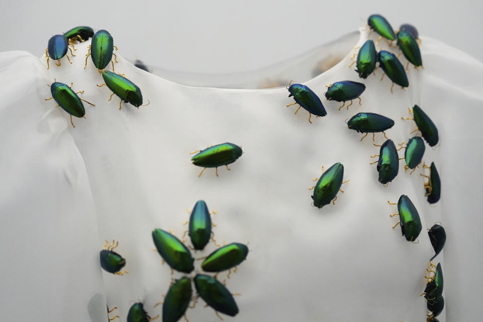 The Metropolitan Museum of Art's Costume Institute gala exhibit, "Sleeping Beauties: Reawakening Fashion," on display at The Metropolitan Museum of Art, Saturday, May 4, 2024, in New York. (AP Photo/Julia Nikhinson)