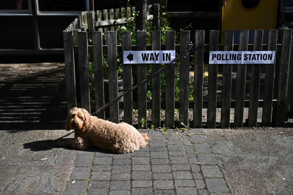 A dog waits outside a polling station during the general election in London, Britain, July 4, 2024. REUTERS/Dylan Martinez