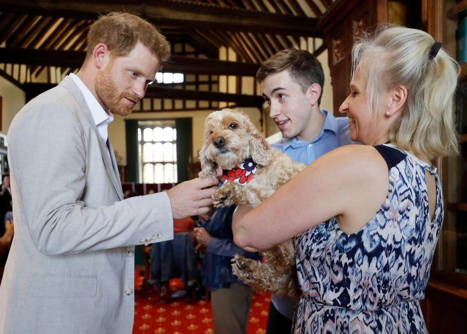 And the dog lover — he and Meghan Markle share two dogs at home! — met a little pooch.