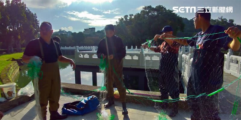 專家與志工們用網子包圍住九曲橋頭端與尾端，準備捕捉垃圾魚。（圖／記者許書萓攝影）