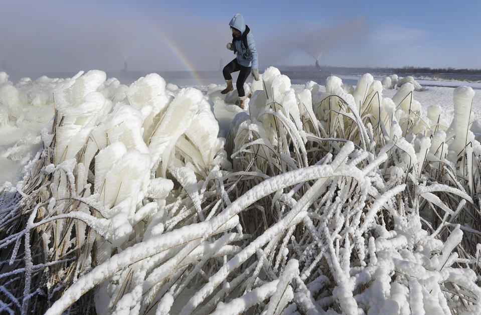 Ice-covered grass in Belarus