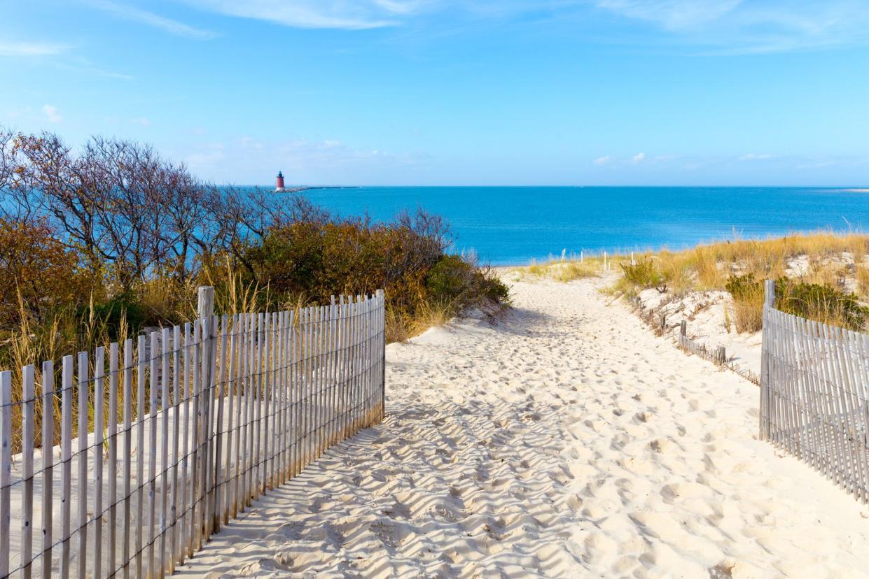 Cape Henlopen State Park, Delaware