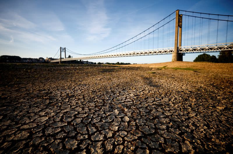 FILE PHOTO: Cracked and dry earth is seen in the wide riverbed of the Loire River in Ancenis-Saint-Gereon