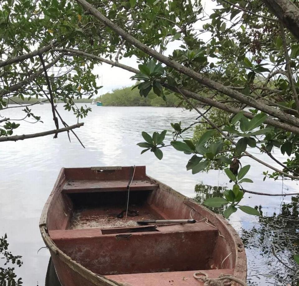 A rowboat sits in the mangroves behind the Murray E. Nelson Government and Cultural Arts Center at mile marker 102 in Key Largo. The boat is used by people living on larger vessels offshore. Police in November 2017 raided a liveaboard vessel last week while investigating the Oct. 21 murder of a Key Largo woman.