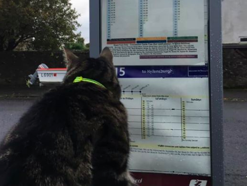 Scouting the next excursion: George regularly hops on buses and trains. (Facebook)