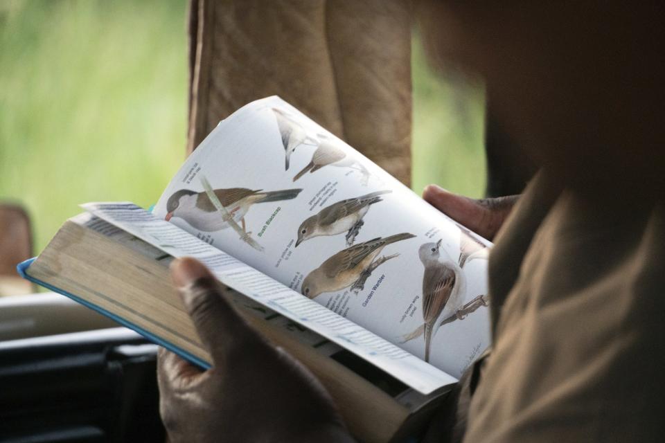 A guide consults a birding handbook