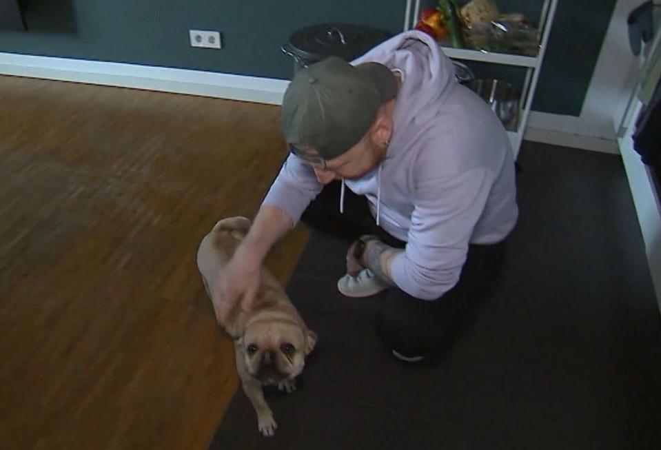 Gregor lebt mit seiner Mitbewohnerin, der französische Bulldogge Ary, zusammen. (Bild: RTL)