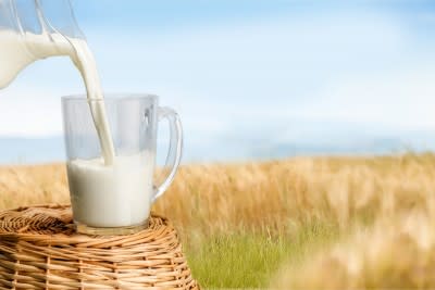 12 Countries with Highest Dairy Consumption and Low Osteoporosis Rates