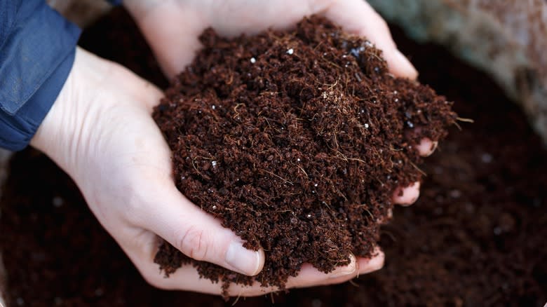 holding soil from a compost