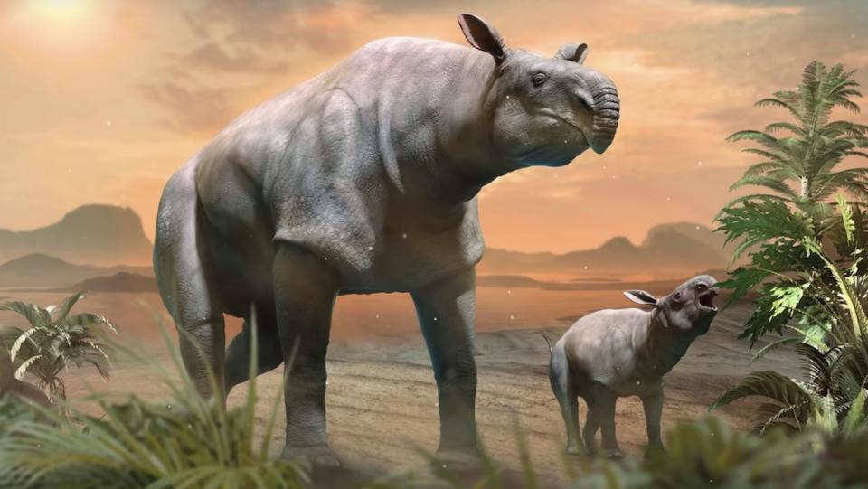 An artist rendering of a giant hornless rhino walking through plains with a baby rhino