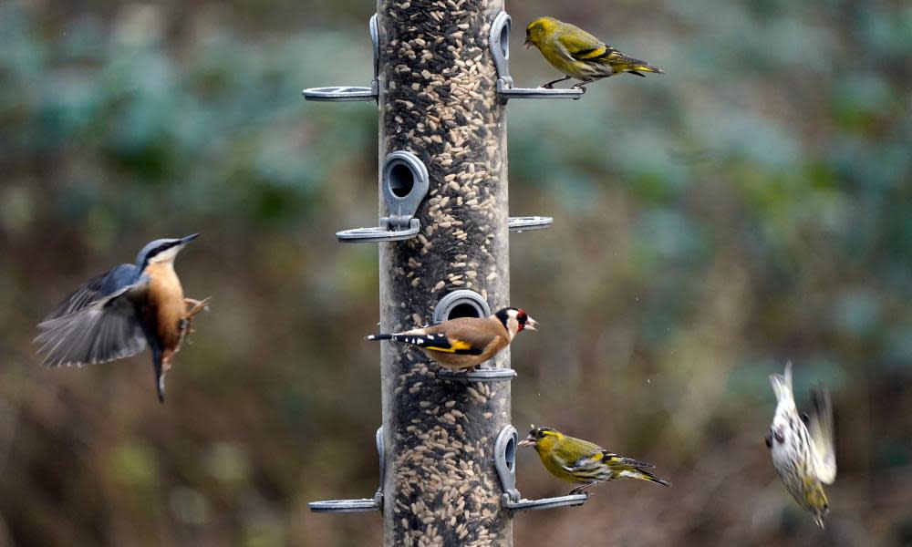 <span>Photograph: Andrew Matthews/PA</span>