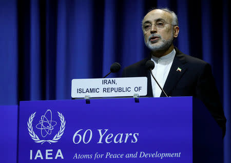 Head of Iran's Atomic Energy Organization Ali-Akbar Salehi attends the opening of the International Atomic Energy Agency (IAEA) General Conference at their headquarters in Vienna, Austria September 18, 2017. REUTERS/Leonhard Foeger