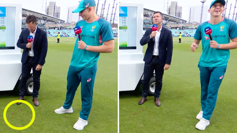 Ricky Ponting, pictured here after having grapes thrown at him by an Ashes spectator.