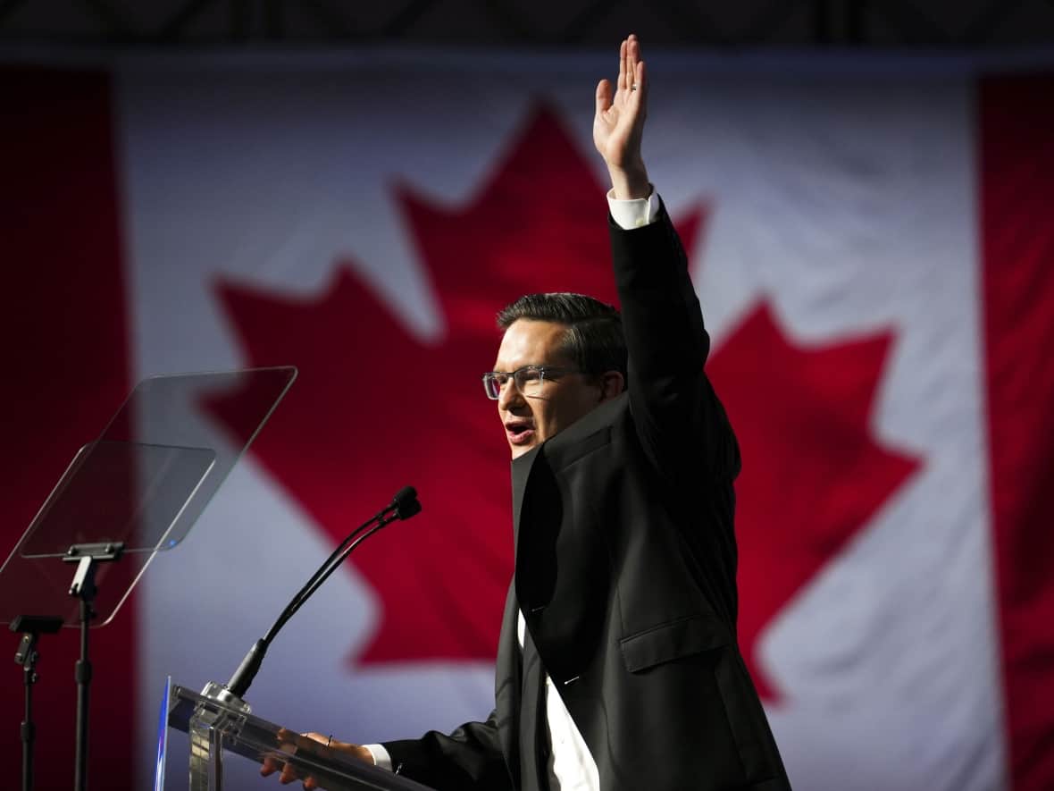 Newly elected Conservative Leader Pierre Poilievre speaks at the Conservative Party of Canada leadership vote in Ottawa on Saturday, Sept. 10, 2022. (Sean Kilpatrick/The Canadian Press - image credit)