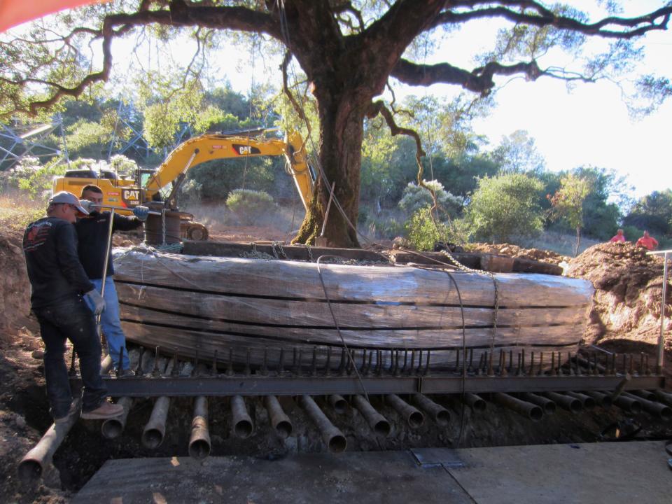 A northern California couple was ordered to pay nearly $600,000 after uprooting a 180-year-old oak tree for their new home.