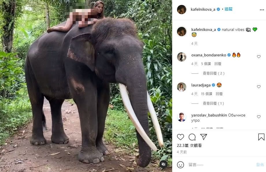 阿萊西亞全裸趴在蘇門答臘象背上的影片在網上瘋傳。（圖／翻攝自阿萊西亞Alesya Kafelnikova IG）