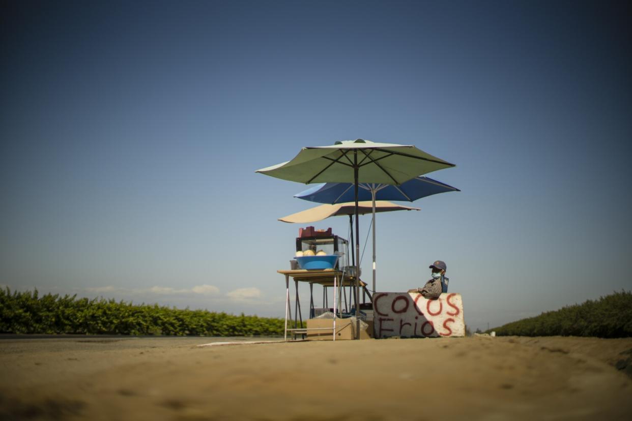 A roadside coconut stand