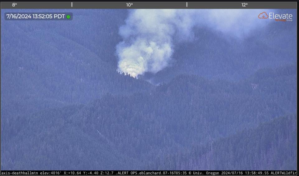 A new wildfire has been spotted in the Blue River area and Willamette National Forest on Tuesday.