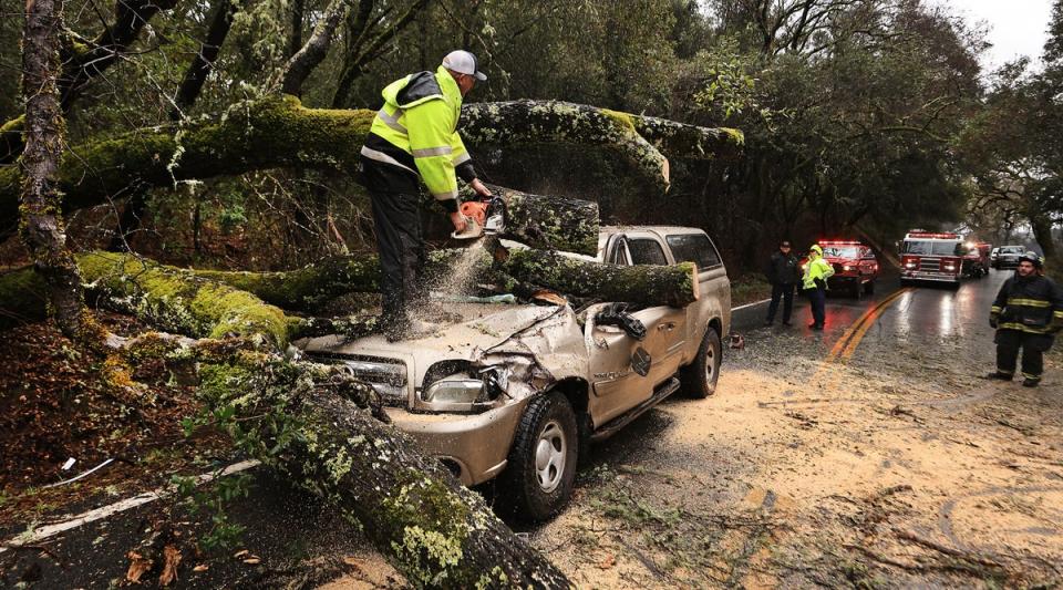 Hopland Volunteer Fire Department chief Mitch Franklin cuts away a large oak tree that fell on a vehicle last weekend, leaving the driver injured (© The Press Democrat)