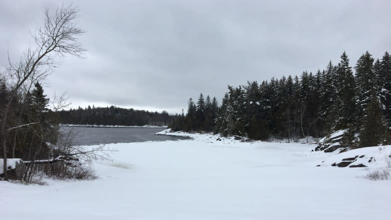 Déjà vu for some in Saint John as plans to sell parks resurface