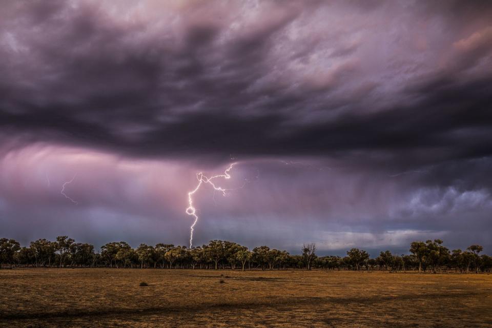 <p>Lightning strikes a tree during a storm in the outback.<br></p>